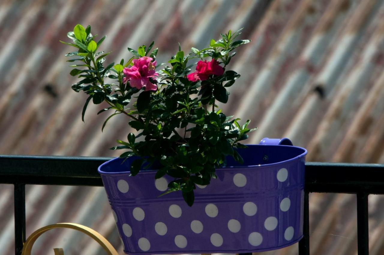 Homestay Yashita Darjeeling (West Bengal)
